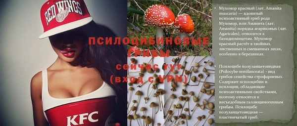 мет Балахна