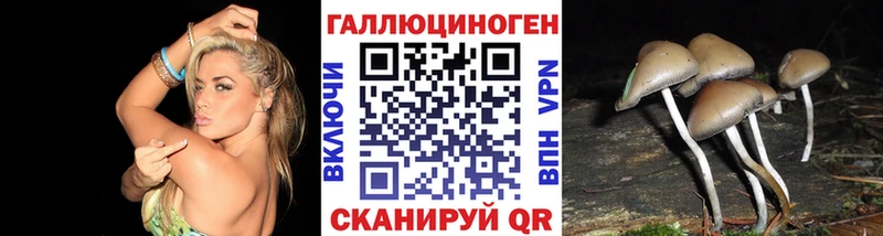 мориарти наркотические препараты  Челябинск  Псилоцибиновые грибы Magic Shrooms 